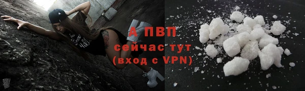 гидра Покровск